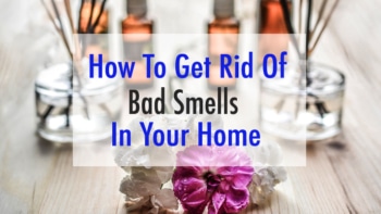 How to Get Rid of Bad Smell in House (DIY Methods) | Luicci